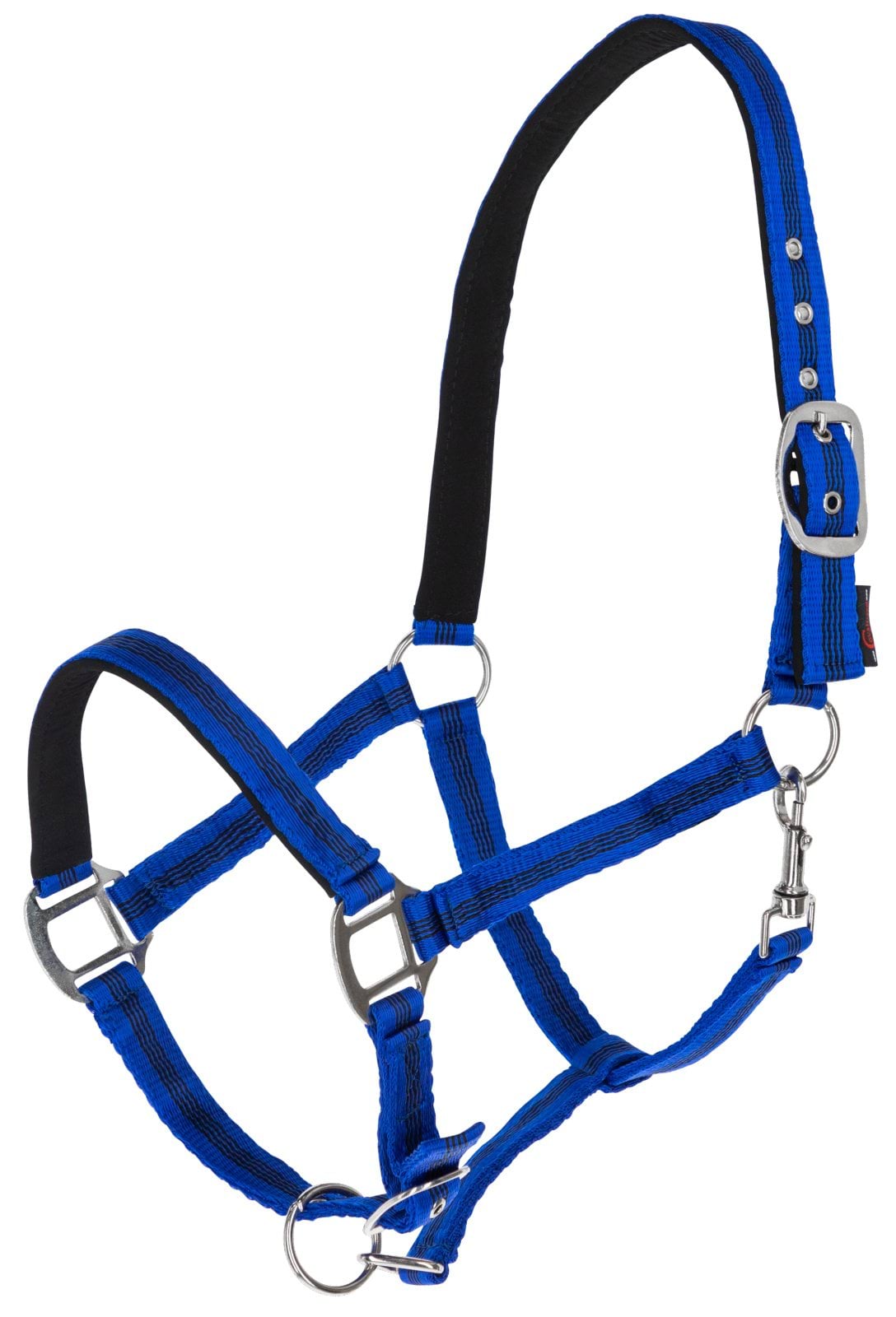 Kantar dla konia Mustang niebieski/czarny Covalliero - Cavalo